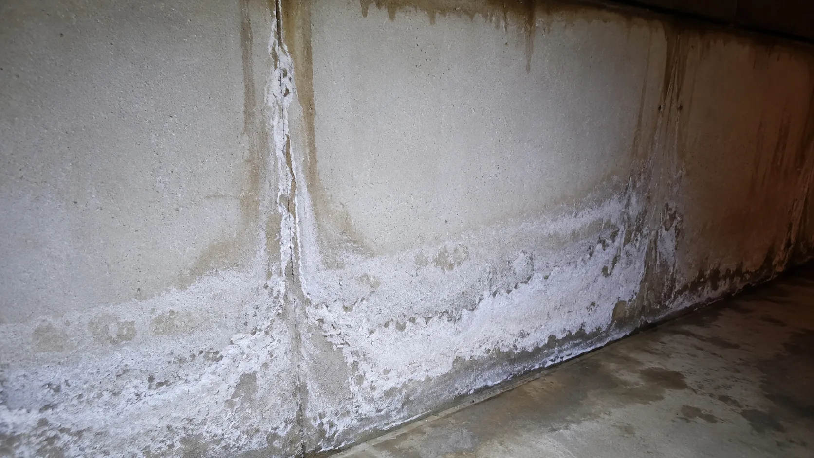Moisture &amp; efflorescence — Home Inspectors Twin Cities